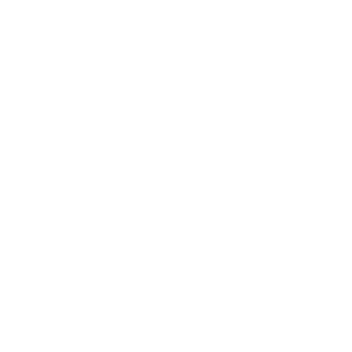 Our Client - Solairus Aviation Logo