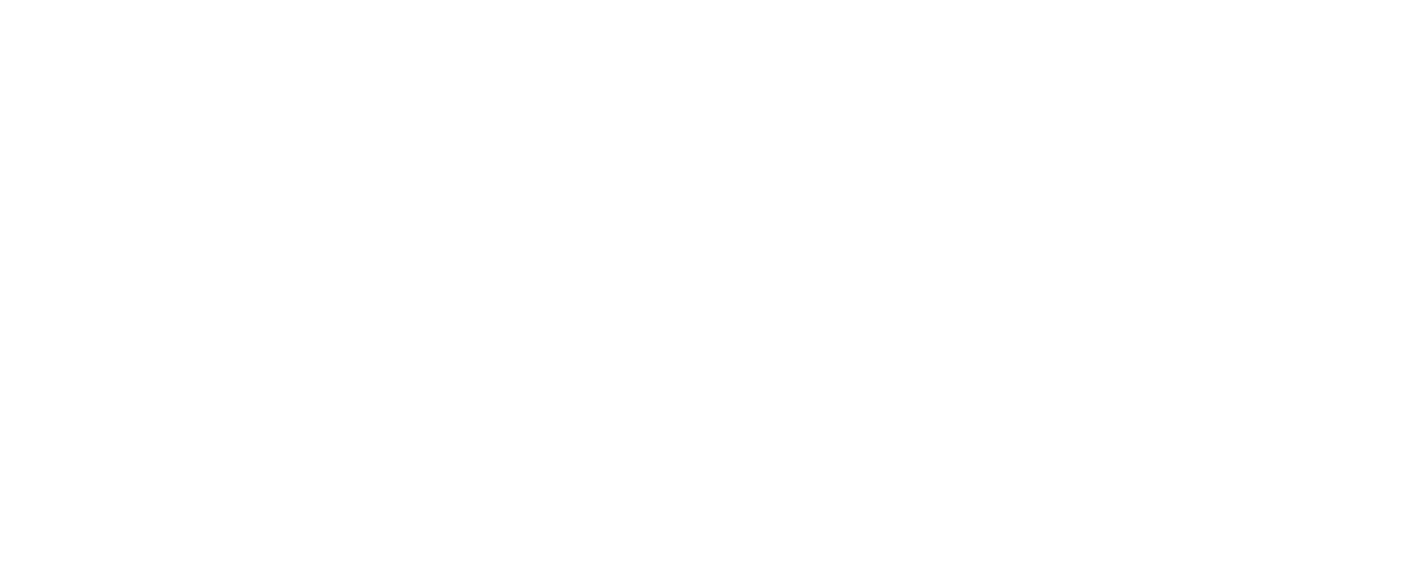 Our Client - City Of Raleigh Logo