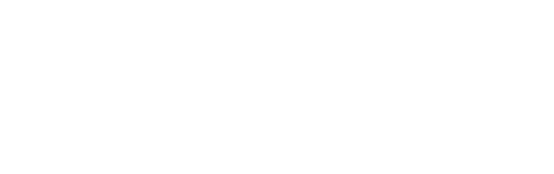 Our Client - South Carolina Port Authority Logo