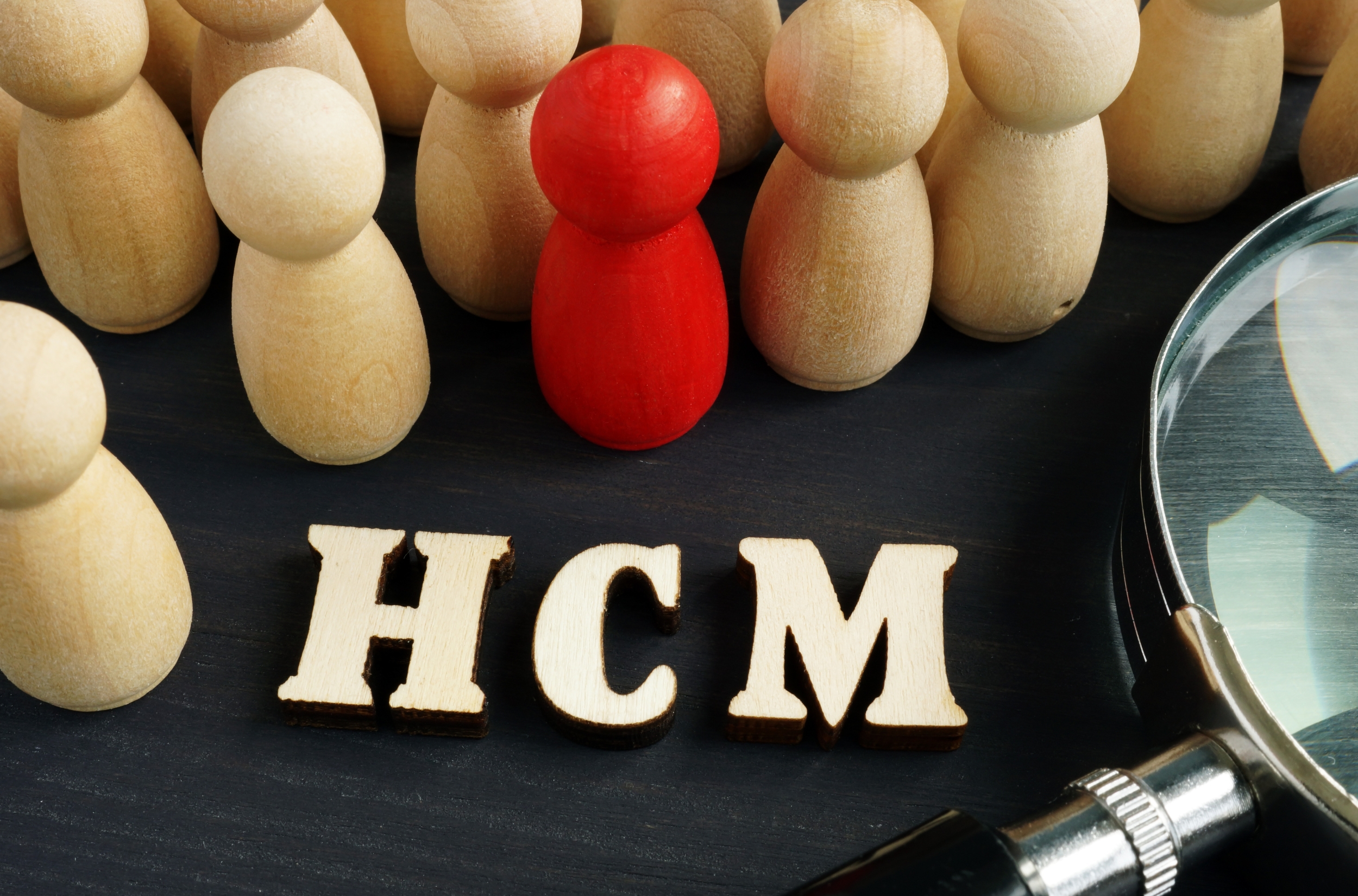 Oracle HCM Cloud Expertise