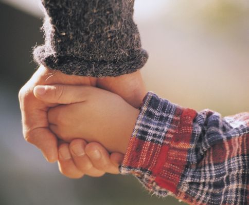 Ceres Insurance Support